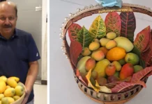‘At 60, I Missed My Childhood Mangoes So Much, I Grew 11 Varieties on One Tree in My Garden’