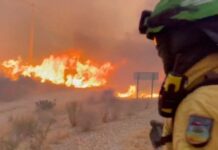 Hundreds of firefighters in Spain battle deadly wildfires that killed at least 12