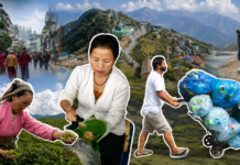 Civic Sense, Systems & Strictness: Sikkim’s Cleanliness Secret Revealed in 10 Pics