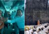 PM Modi Offers Prayers At Indonesia’s 1,000-Year-Old Shiv Temple, Calls It ‘Great Fortune’: WATCH