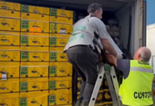 Cocaine worth $285 million found hidden in banana shipment
