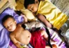 An Assam Family’s Rescue of an Orphaned Civet Became an NCERT Class 10 Lesson