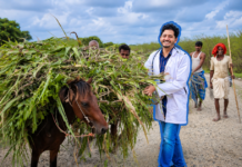 The Doctor Who Couldn’t Save His Mother Now Spends 90% of His Salary to Bring Healthcare to Rural Bihar