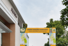 How 16 Women Drove From India to Thailand & Took Charge of Every Mile Themselves
