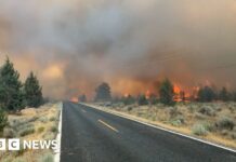 North America wildfires burn millions of acres in western US and Canada