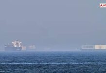 Indian Sailor Killed After Commercial Vessel Attacked In Black Sea, MEA Condemns Strike On Commercial Ship