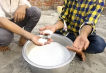 This IAS Officer Led 360 Raids to Stop Fake Milk From Reaching Maharashtra Homes