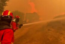 Spain declares national emergency over wildfires