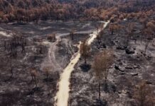 ‘First somewhat optimistic day’ in France since fire outbreak says prefect
