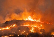 New Firefighting Technologies Could Help Battle Blazes Like Those in France and Spain