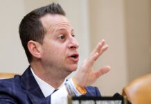 Candidate who wants to abolish the Senate, arrest Netanyahu offers DSA shot at swing-seat breakthrough