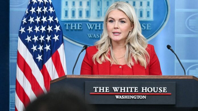 kaorline-leavitt-briefing-july-23-fox-news.jpg