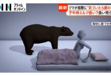 Bear Sightings Surge With 50 Cases in Iwate in One Week
