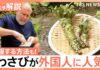 What Is the Difference Between Nama Wasabi and Hon Wasabi?