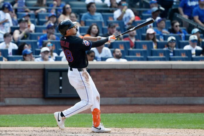 new-york-mets-center-fielder-135606265.jpg