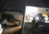 At least 14 kids killed as Pakistan tutoring center’s roof collapses