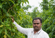 This Beed Farmer Grew Avocados in Dry Land & Built a Rs 10 Lakh/Acre Farm