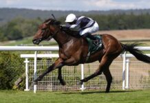 Diamond Necklace sparkles in Nassau Stakes