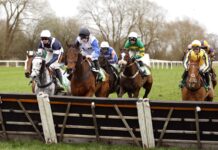 Sunray Shadow and Imperial Alex clash at Uttoxeter