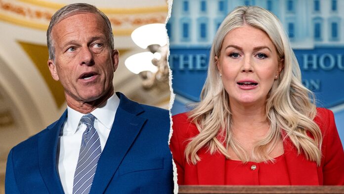 thune-leavitt-split.jpg
