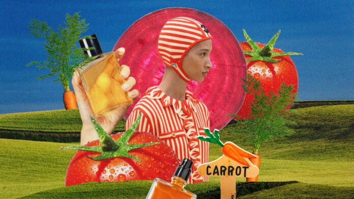 tomato%20summe%20ig.jpg