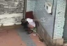 Thousands of illegal African migrants overrun Spanish enclave, turn streets into open toilets and bathe in fountains: ‘An apocalypse’