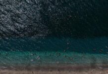 Ocean heat records broken as hottest July temperature recorded