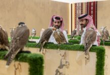 مالك مزرعة فرنسية: مزاد الصقور يرسخ مكانته حدثًا عالميًا متطورًا