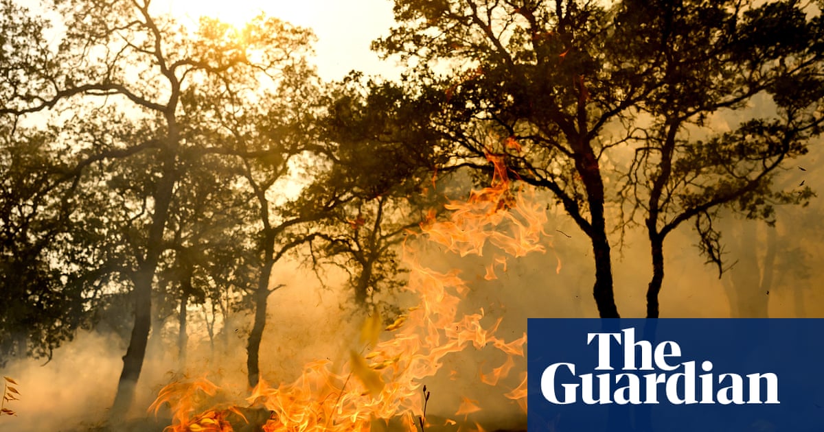 At least one person dead in California wildfire allegedly sparked by chainsaw