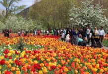 Mahalat: Discover the Netherlands of Iran