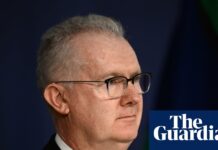 ‘Performative reductions’: Labor MPs and business groups urge Burke against sweeping immigration changes
