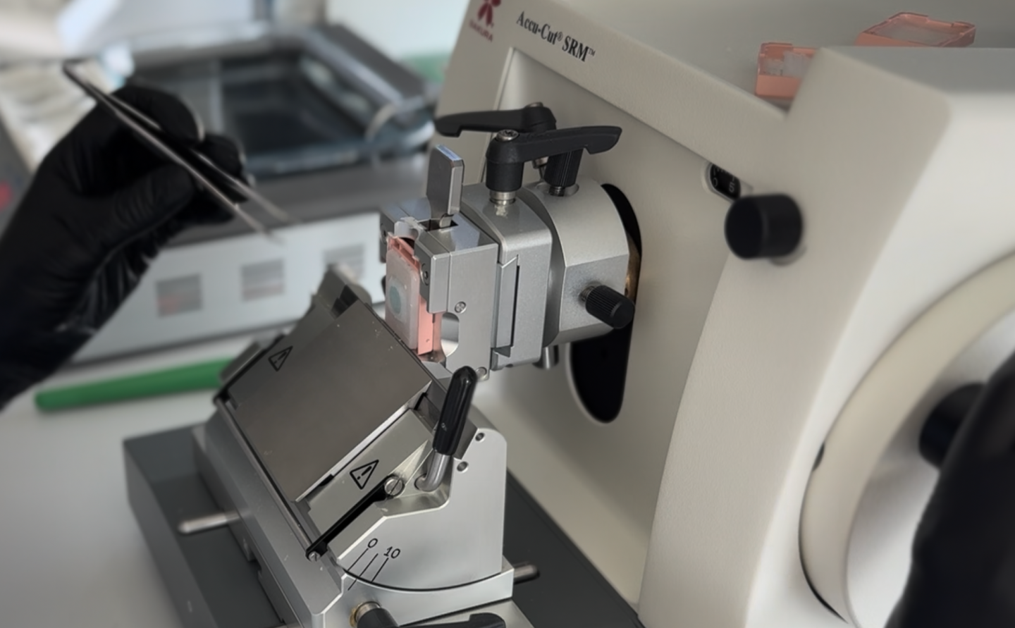 Exclusive: Former OpenAI exec Fidji Simo discusses her battle with POTS and her startup’s plans to cure it with AI and 3,500 vials of blood (so far)
