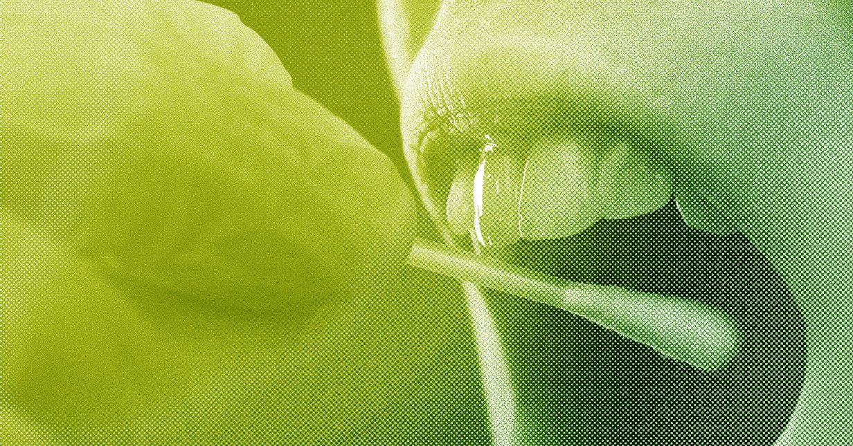 ICE’s DNA Collection Increases, SpaceX’s Rocket Crashes Into the Moon, and the AI Backlash Grows