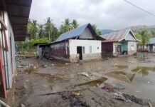 Videos capture the moment a devastating 7.7 magnitude earthquake hits Indonesia