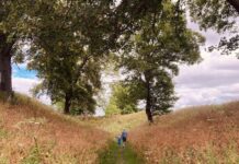 Temperatures to drop briefly ahead of next UK heatwave