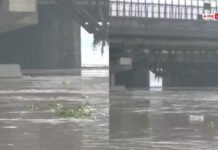 Yamuna Swells Amid Heavy Rain, Hathini Kund Water Release; Level Nears 204 Metres