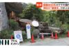 800-Year-Old Sacred Tree Falls at Ibaraki Shrine