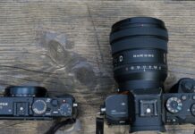How to Choose a Camera (2026): Sensors, Megapixels, Terms