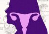The Ovary Is Surprisingly Active After Menopause. Scientists Are Trying to Figure Out Why