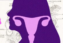 The Ovary Is Surprisingly Active After Menopause. Scientists Are Trying to Figure Out Why