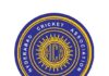 Prateik, Mani, Shubhanshu Top Performers in Cricket