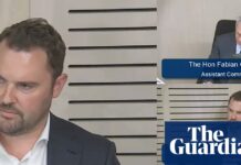 Jeremy Greenwood denies giving ‘ridiculous’ evidence to Icac about ‘mum’s perspective’ from premier’s sister-in-law