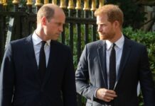 Typical Harry to only think of himself – the harsh reality behind Prince’s latest Diana move
