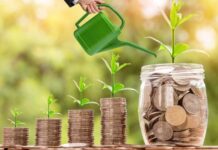 SIFs See Strong First-Year Growth: Equity Assets Jump 47%, Hybrid Strategies Dominate