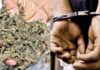 Two Held With 430 Gm Ganja, Nine Tapentadol Tablets In Bapatla