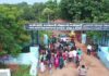 Serfoji College’s Afforestation Mission With Palmyrah Seeds