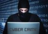 Man Loses ₹85,000 In E-Challan Cyber Fraud