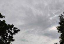 Hot Till Afternoon, Thunderstorms Likely In Several Districts