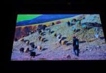 Telangana: Films Highlight Pastoral Life At Eco Festival