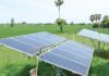 Scrap Private Solar Project In Virudhunagar District, Farmers Tell Govt